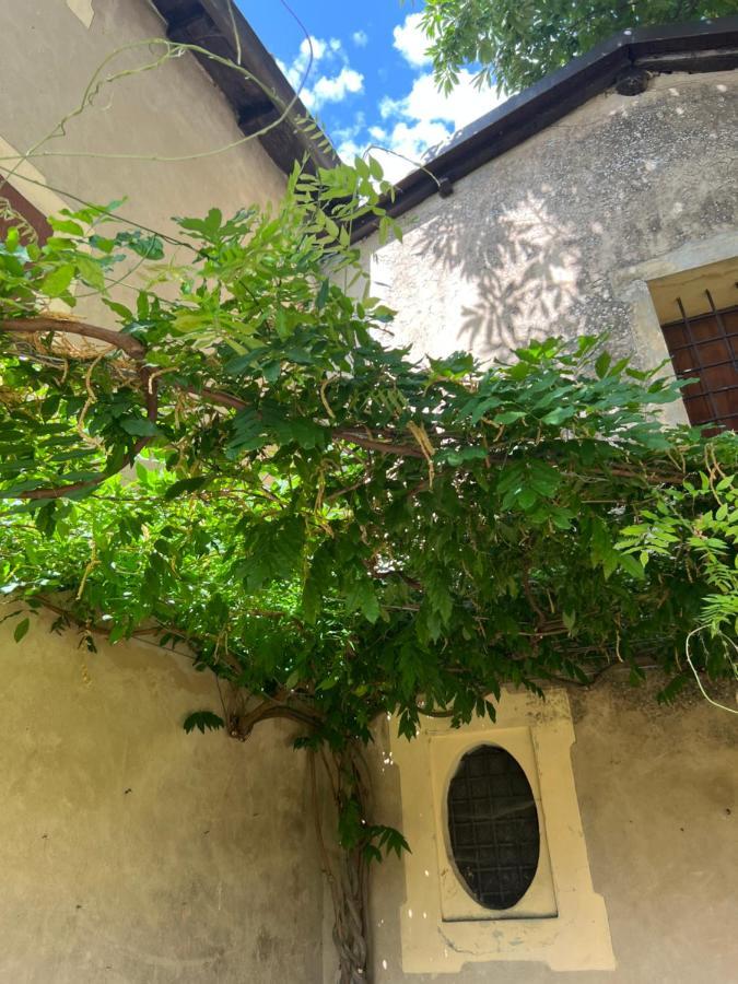 Zocchetta Casa Barattini Bed & Breakfast エクステリア 写真